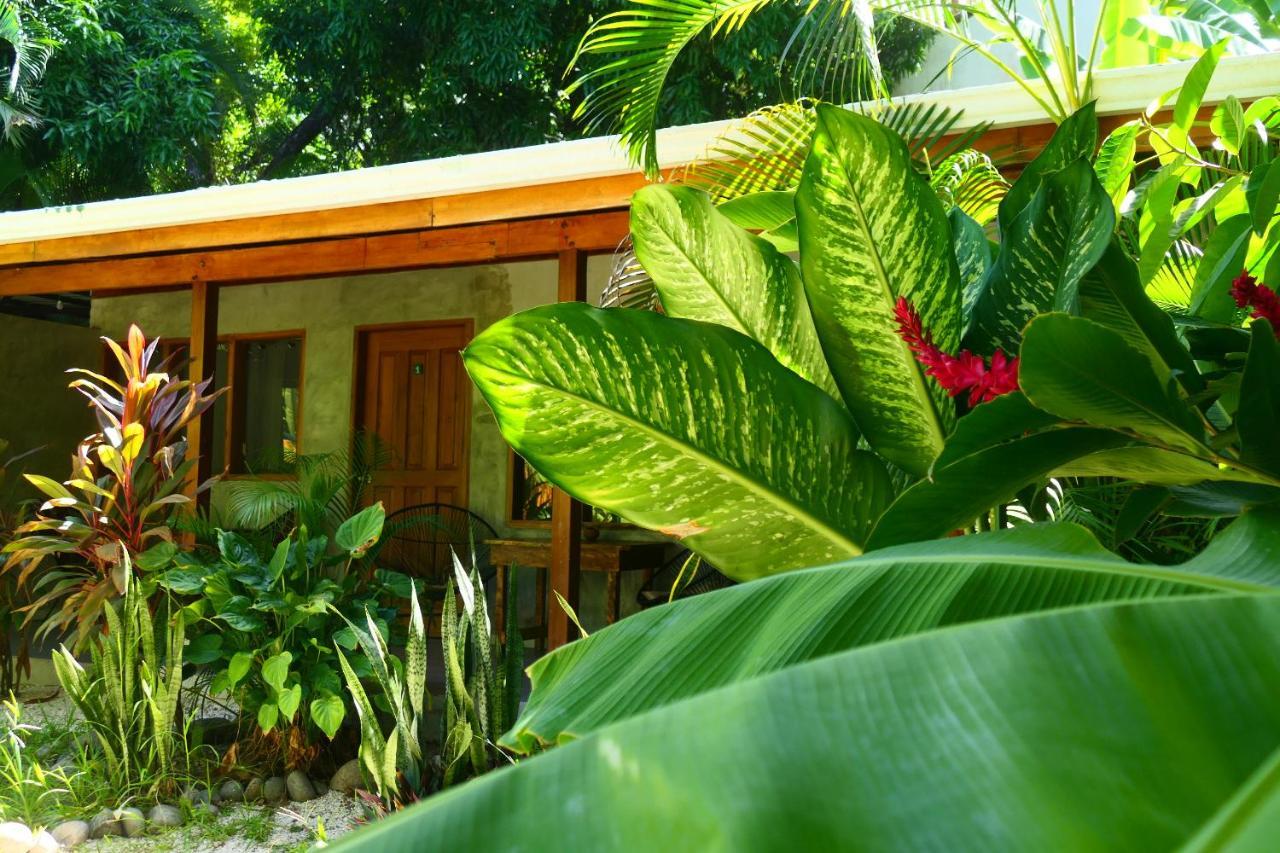 Cabinas Playa Surf Hostel Playa Santa Teresa  Eksteriør billede