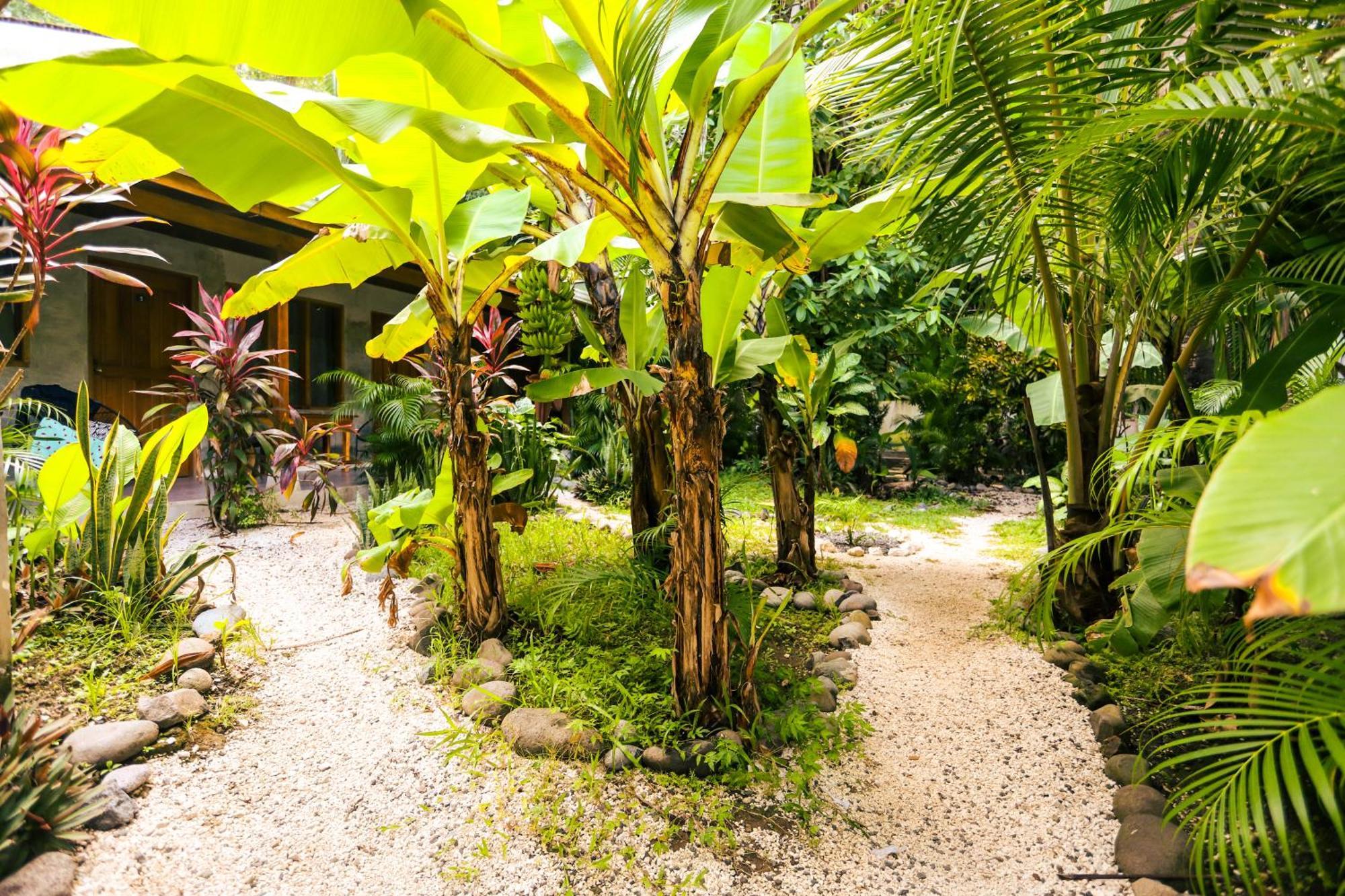 Cabinas Playa Surf Hostel Playa Santa Teresa  Eksteriør billede