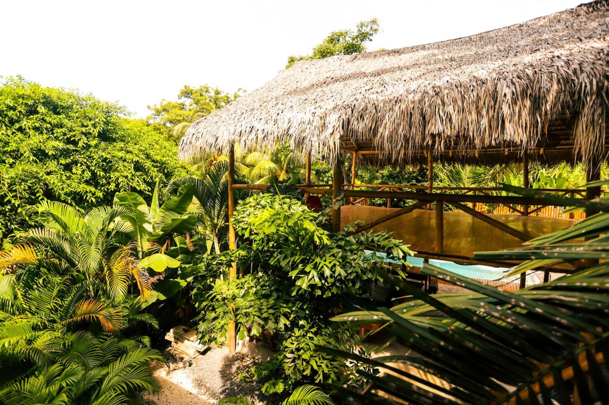 Cabinas Playa Surf Hostel Playa Santa Teresa  Eksteriør billede