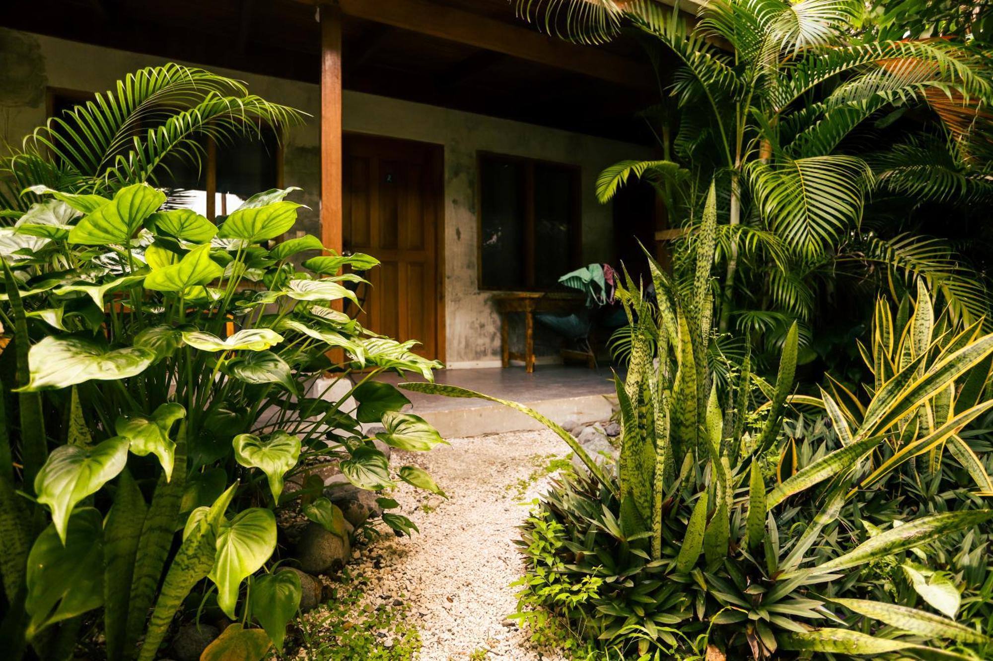 Cabinas Playa Surf Hostel Playa Santa Teresa  Eksteriør billede