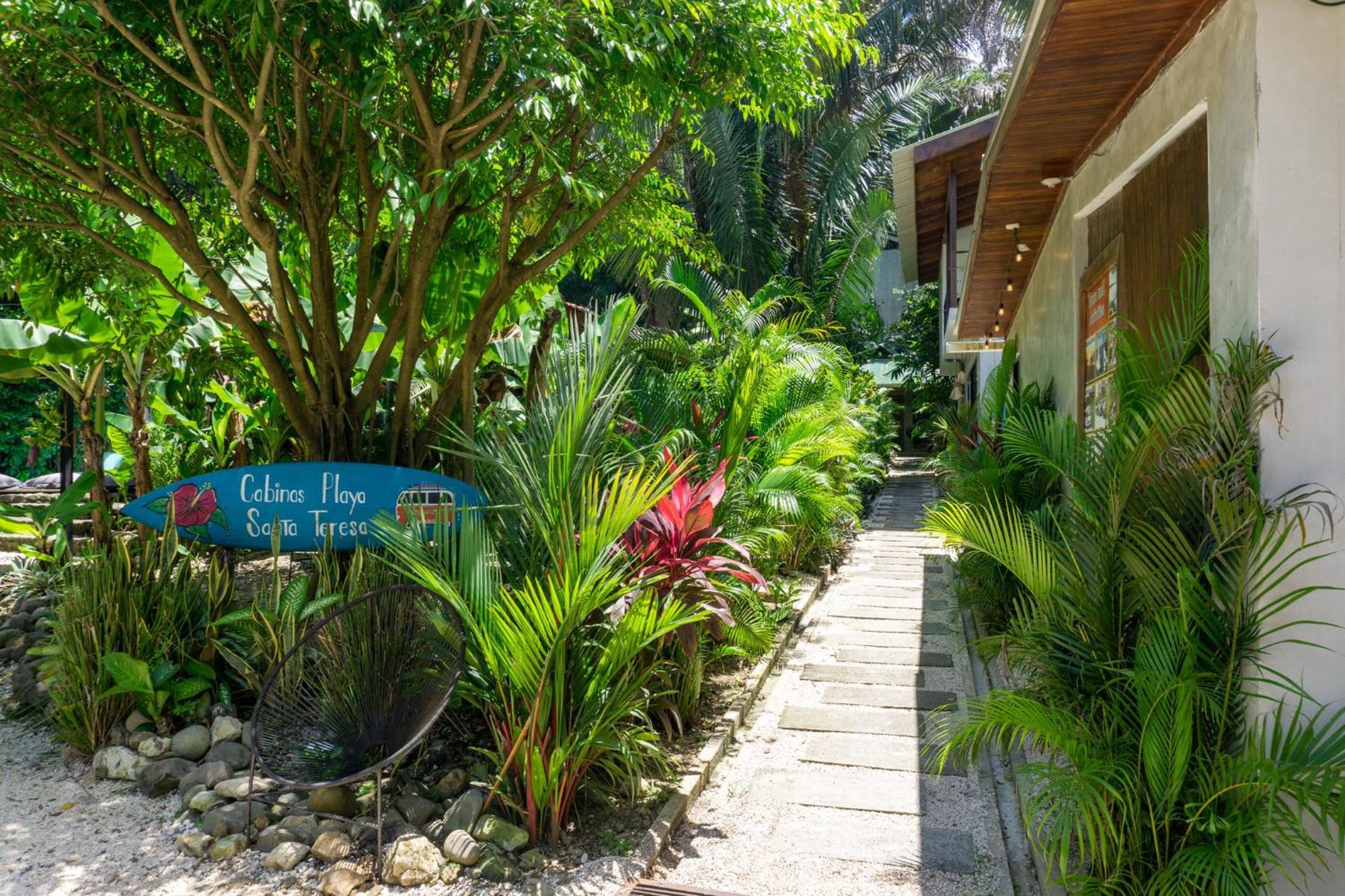 Cabinas Playa Surf Hostel Playa Santa Teresa  Eksteriør billede